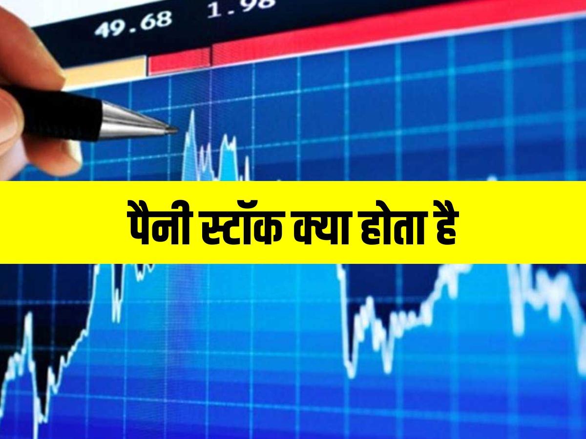 what-is-penny-stock-in-hindi-storyshala