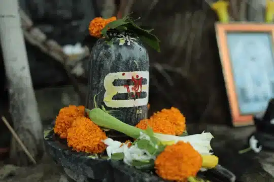 Somvar vrat katha: गेंदे के फूलों से सजा शिवलिंग