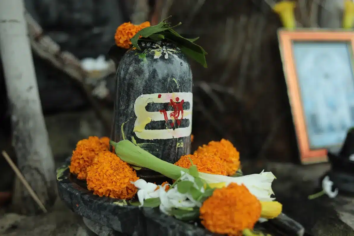 सोमवार व्रत कथा: शिव जी के व्रत की पूरी कथा, पूजा विधि और नियम Somvar vrat katha: गेंदे के फूलों से सजा शिवलिंग